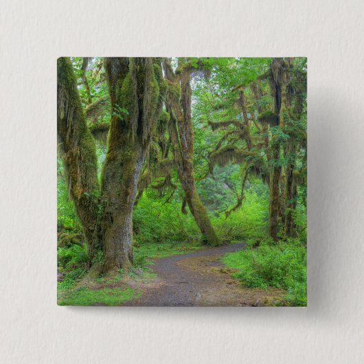 VS, Washington, Olympic National Park, Hoh Vierkante Button 5,1 Cm (Voorkant)