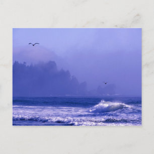 VS, Washington, Olympic National Park. Mist Briefkaart