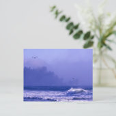 VS, Washington, Olympic National Park. Mist Briefkaart (Staand voorkant)