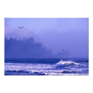 VS, Washington, Olympic National Park. Mist Foto Afdruk