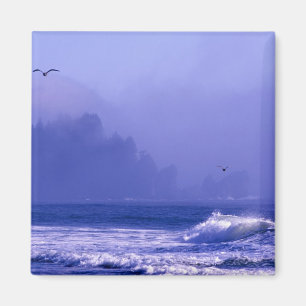 VS, Washington, Olympic National Park. Mist Magneet