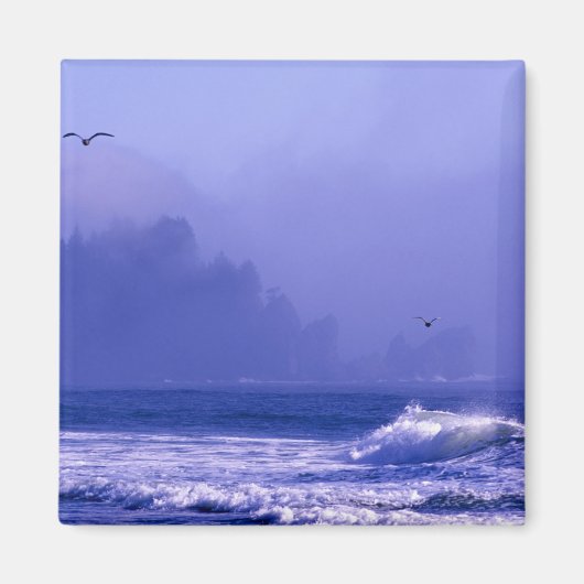 VS, Washington, Olympic National Park. Mist Magneet (Voorkant)