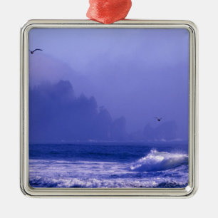 VS, Washington, Olympic National Park. Mist Metalen Ornament
