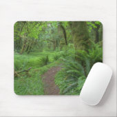 VS, Washington, Olympic National Park, Muismat (Met muis)