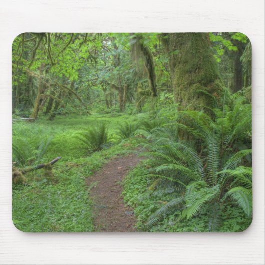 VS, Washington, Olympic National Park, Muismat (Voorkant)