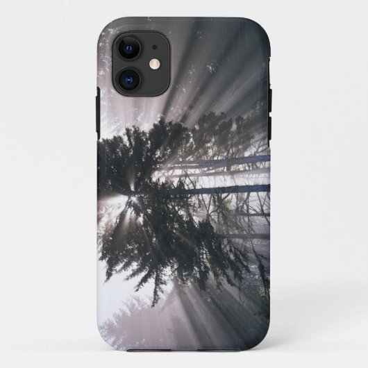 VS, Washington, Olympic National Park, Ochtend Case-Mate iPhone Case (Achterkant)
