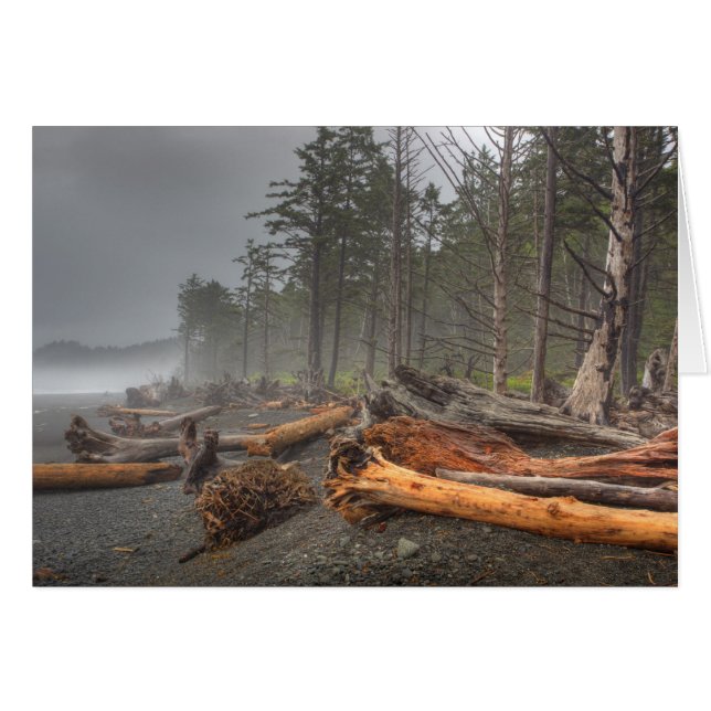 VS, Washington, Olympic National Park, Rialto (Voorkant Horizontaal)