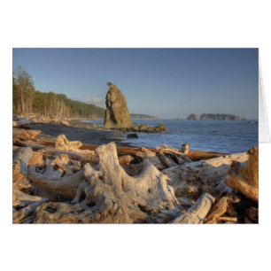 VS, Washington, Olympic National Park, Rialto