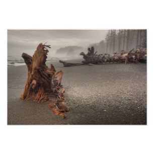 VS, Washington, Olympic National Park, Rialto 2 Foto Afdruk