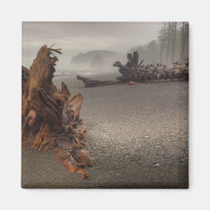 VS, Washington, Olympic National Park, Rialto 2 Magneet