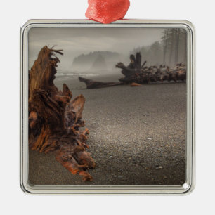 VS, Washington, Olympic National Park, Rialto 2 Metalen Ornament
