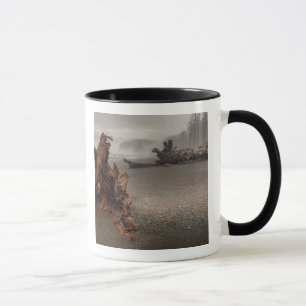 VS, Washington, Olympic National Park, Rialto 2 Mok