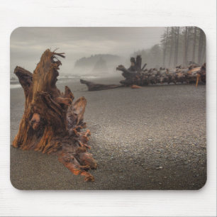 VS, Washington, Olympic National Park, Rialto 2 Muismat