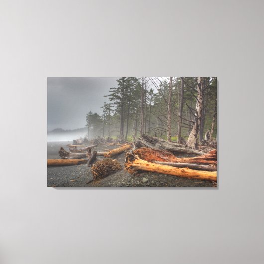 VS, Washington, Olympic National Park, Rialto Canvas Afdruk (Voorkant)