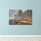 VS, Washington, Olympic National Park, Rialto Canvas Afdruk (Insitu (Houten vloer))