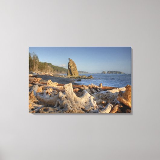 VS, Washington, Olympic National Park, Rialto Canvas Afdruk (Voorkant)