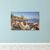 VS, Washington, Olympic National Park, Rialto Canvas Afdruk (Insitu (Houten vloer))