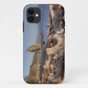 VS, Washington, Olympic National Park, Rialto iPhone 11 Hoesje