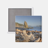 VS, Washington, Olympic National Park, Rialto Magneet (Voorkant / Achterkant)