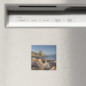 VS, Washington, Olympic National Park, Rialto Magneet (Insitu (Vaatwasser))