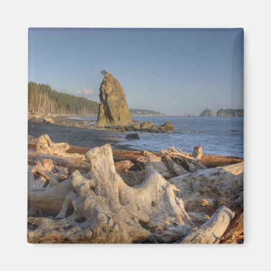 VS, Washington, Olympic National Park, Rialto Magneet (Voorkant)