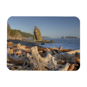 VS, Washington, Olympic National Park, Rialto Magneet