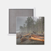 VS, Washington, Olympic National Park, Rialto Magneet (Voorkant / Achterkant)