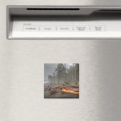 VS, Washington, Olympic National Park, Rialto Magneet (Insitu (Vaatwasser))