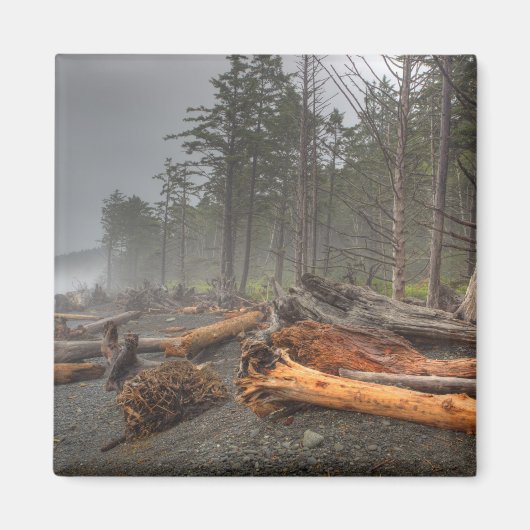 VS, Washington, Olympic National Park, Rialto Magneet (Voorkant)