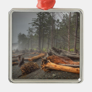 VS, Washington, Olympic National Park, Rialto Metalen Ornament