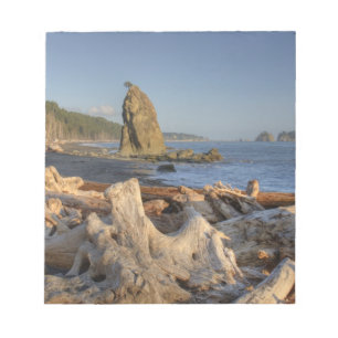 VS, Washington, Olympic National Park, Rialto Notitieblok