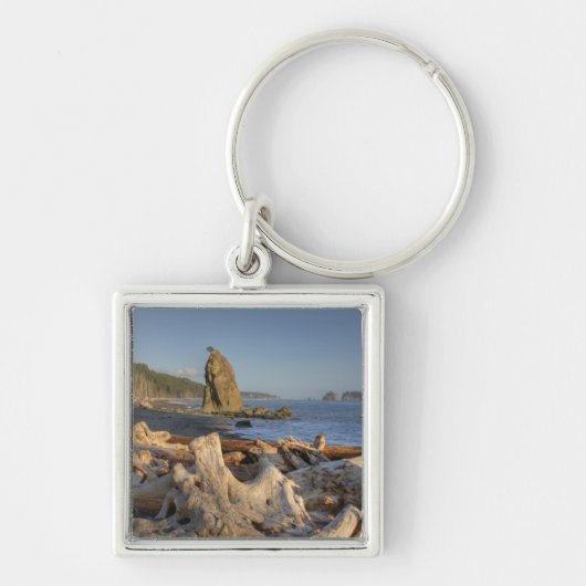 VS, Washington, Olympic National Park, Rialto Sleutelhanger (Voorkant)