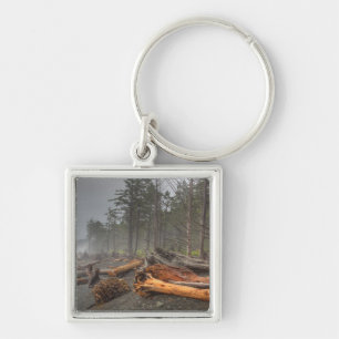 VS, Washington, Olympic National Park, Rialto Sleutelhanger