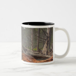 VS, Washington, Olympic National Park, Rialto Tweekleurige Koffiemok