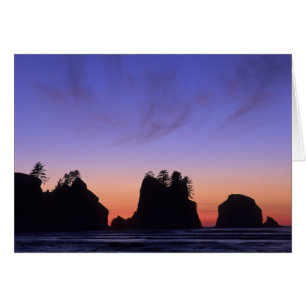VS, Washington, Olympic National Park, Shi-shi