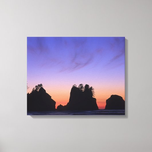 VS, Washington, Olympic National Park, Shi-shi Canvas Afdruk (Voorkant)