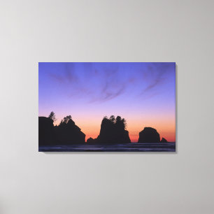 VS, Washington, Olympic National Park, Shi-shi Canvas Afdruk