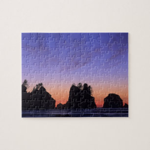 VS, Washington, Olympic National Park, Shi-shi Legpuzzel