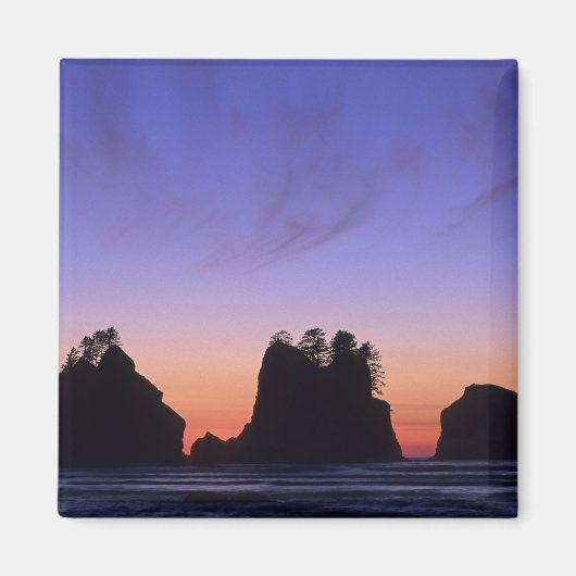 VS, Washington, Olympic National Park, Shi-shi Magneet (Voorkant)