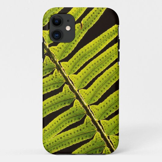 VS, Washington, Olympic National Park, Tegenlicht Case-Mate iPhone Case (Achterkant)
