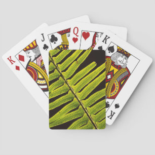 VS, Washington, Olympic National Park, Tegenlicht Pokerkaarten
