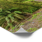 VS, Washington, Olympic National Park, Wandelen Poster (Hoek)