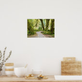 VS, Washington, Olympic National Park, Wandelen Poster (Keuken)