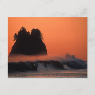 VS, Washington, Olympic National Park, Zee Briefkaart