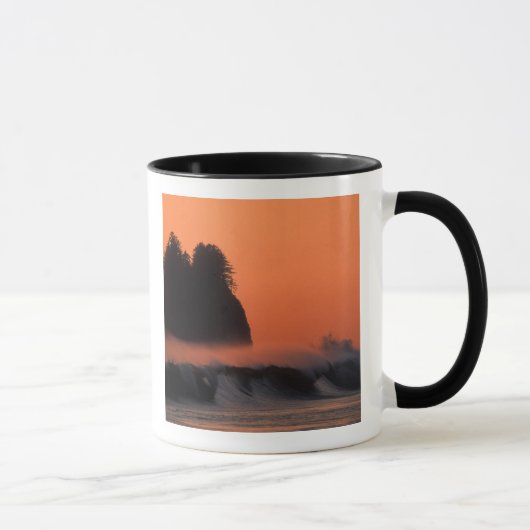 VS, Washington, Olympic National Park, Zee Mok (Rechts)