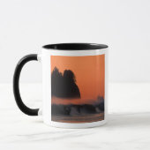 VS, Washington, Olympic National Park, Zee Mok (Links)