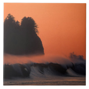 VS, Washington, Olympic National Park, Zee Tegeltje