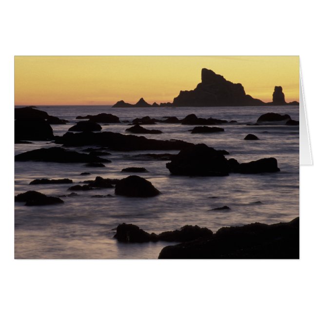 VS, Washington, Olympic Nat'l Park, Zeestacks (Voorkant Horizontaal)