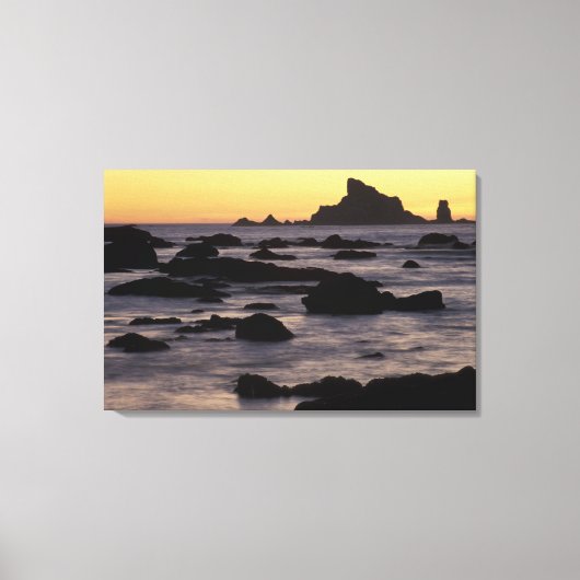 VS, Washington, Olympic Nat'l Park, Zeestacks Canvas Afdruk (Voorkant)
