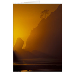 VS, Washington, Olympic Nat'l Park, Zonsondergang,
